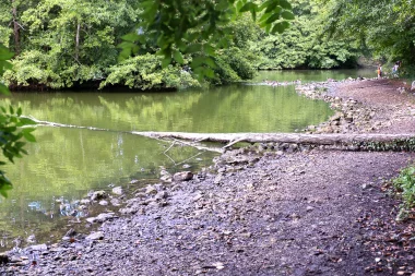 Parc du Moulin D'Ornon de Gradignan (6).